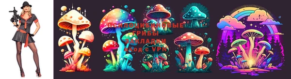 кокс Абаза