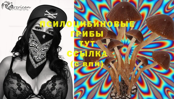 MDMA Premium VHQ Абдулино