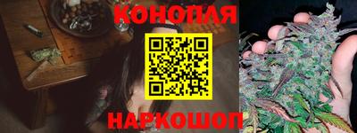 бошки Тара