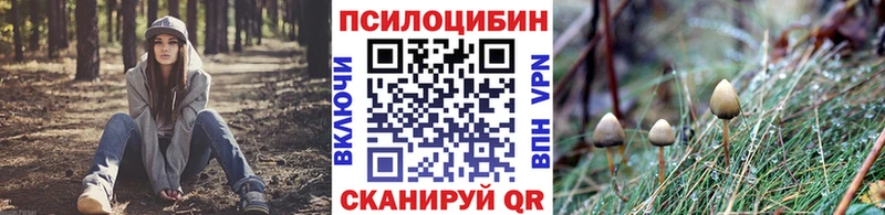 Галлюциногенные грибы Psilocybine cubensis  купить наркотик  Северодвинск 