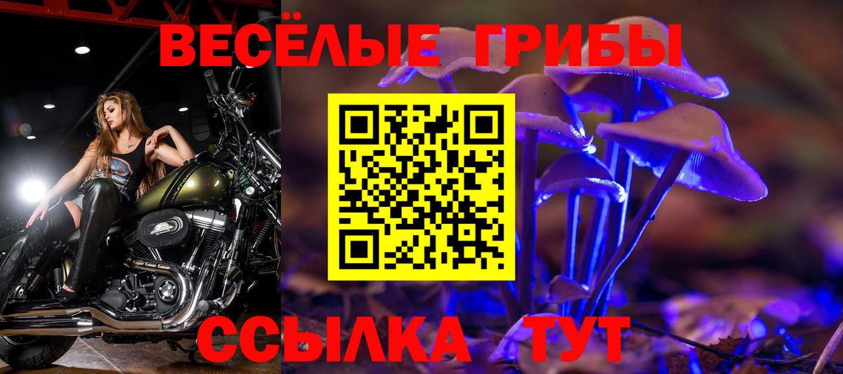 Галлюциногенные грибы Psilocybe  Псилоцибиновые грибы прущие грибы  Вход с VPN  Северодвинск 