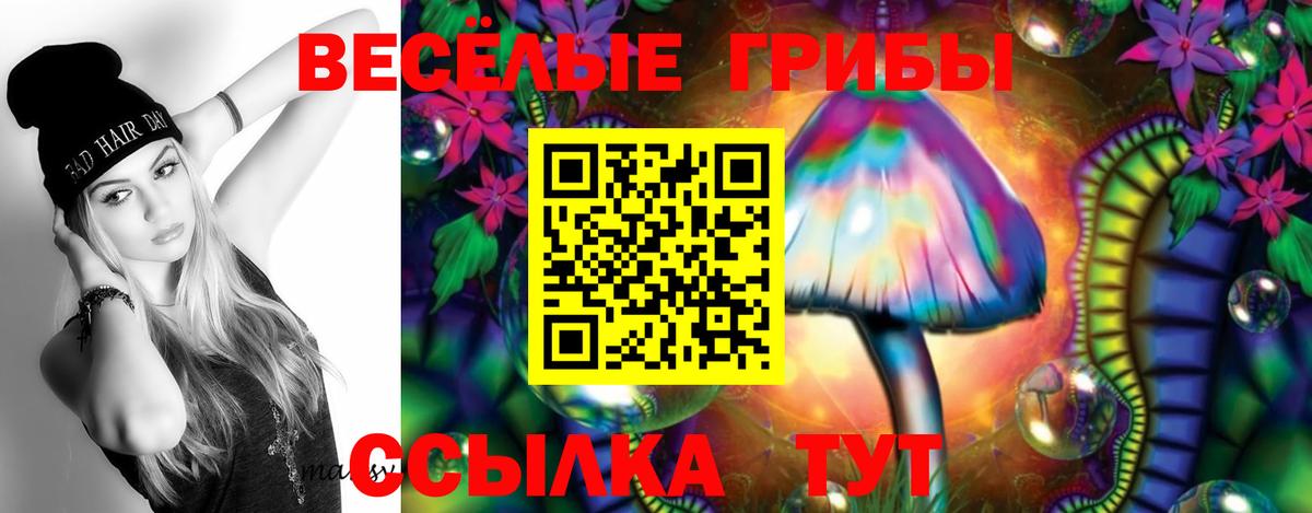 Галлюциногенные грибы Psilocybine cubensis Северодвинск